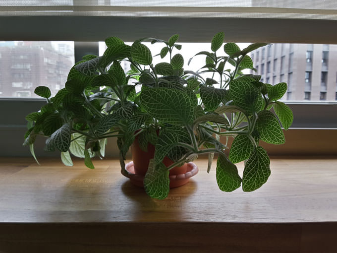 不僅輕薄隨攜,功能強大更無與倫比:Samsung Galaxy Tab S2讓你重新體驗平板新生活! - 阿祥的網路筆記本 GTS2EXP1_025