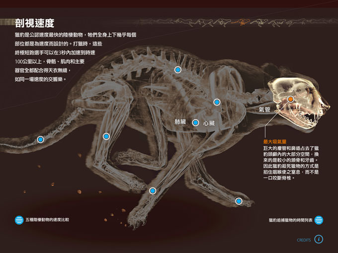 不僅輕薄隨攜,功能強大更無與倫比:Samsung Galaxy Tab S2讓你重新體驗平板新生活! - 阿祥的網路筆記本 GTS2EXP1_049