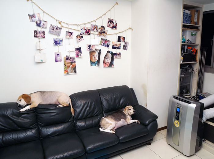 冷氣也能「帶著走」?威技變頻移動式冷暖氣 WAP-35DK-V產品開箱與實測心得! - 阿祥的網路筆記本 026