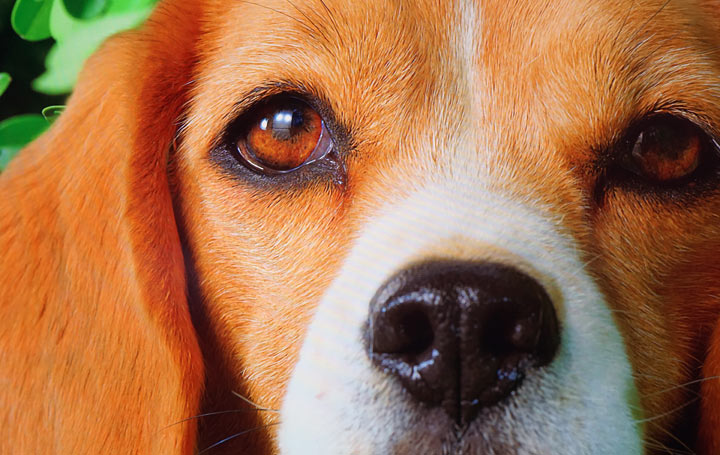 不只好看，還更好聽！三星 QLED 8K 量子電視 65 吋 Q800T 開箱體驗：OTS+ 魔術音效加持，搭配 Soundbar Q70T 同步輸出魔幻音場！ - 阿祥的網路筆記本