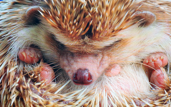 不只好看，還更好聽！三星 QLED 8K 量子電視 65 吋 Q800T 開箱體驗：OTS+ 魔術音效加持，搭配 Soundbar Q70T 同步輸出魔幻音場！ - 阿祥的網路筆記本