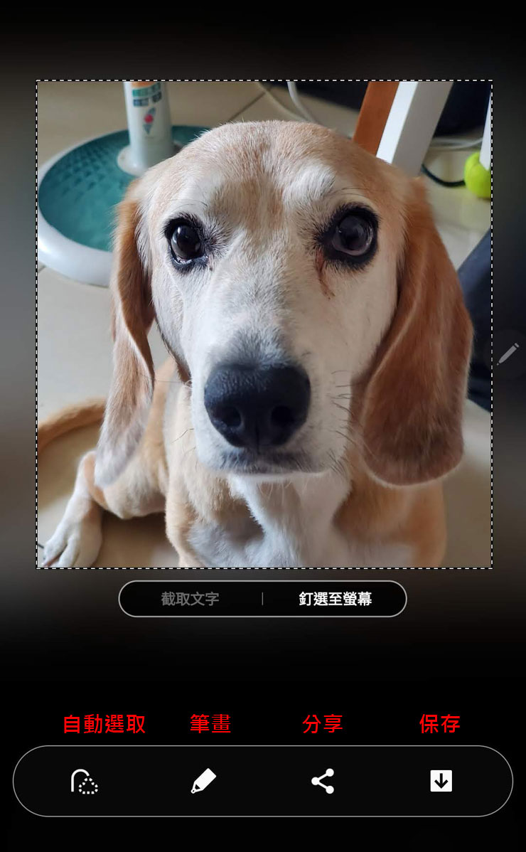 S Pen 真的這麼好用？入手 Galaxy Note20 系列必學的 10 個重點功能！ - 阿祥的網路筆記本