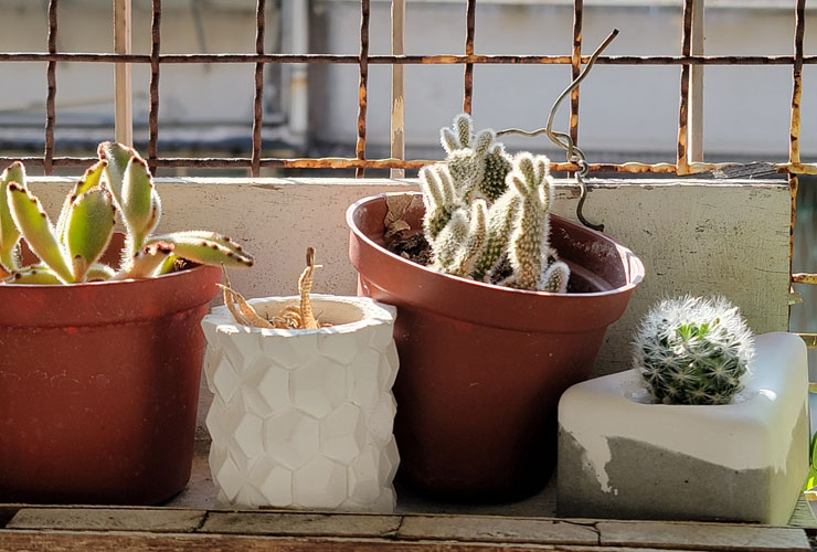 Galaxy S21 Ultra 5G 開箱實測：讓每日生活更精采！攝影功能再升級，不僅好拍更能輕鬆拍得好！ - 阿祥的網路筆記本