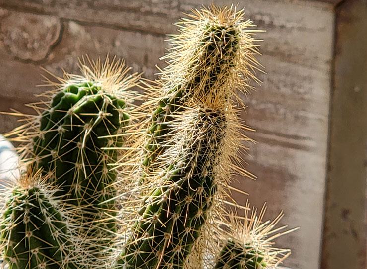 Galaxy S21 Ultra 5G 開箱實測：讓每日生活更精采！攝影功能再升級，不僅好拍更能輕鬆拍得好！ - 阿祥的網路筆記本