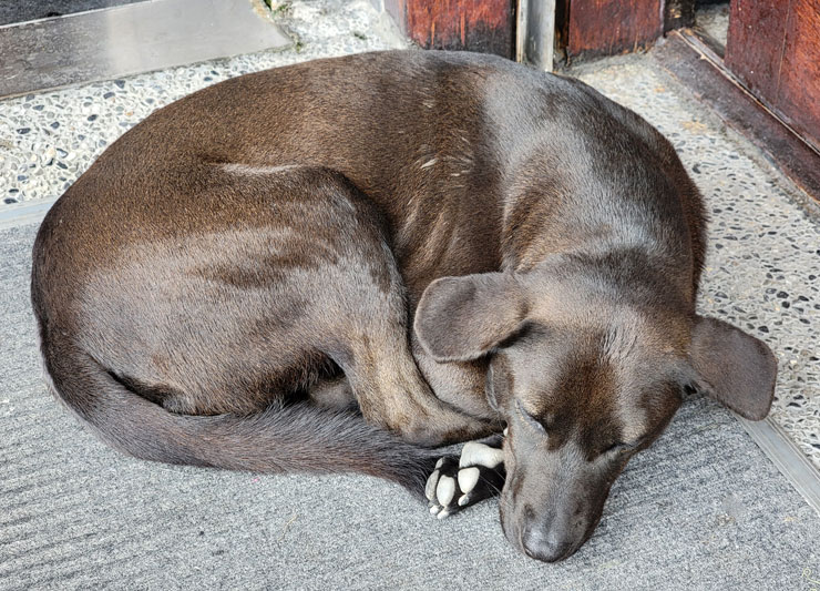 Galaxy S21 Ultra 5G 開箱實測：讓每日生活更精采！攝影功能再升級，不僅好拍更能輕鬆拍得好！ - 阿祥的網路筆記本