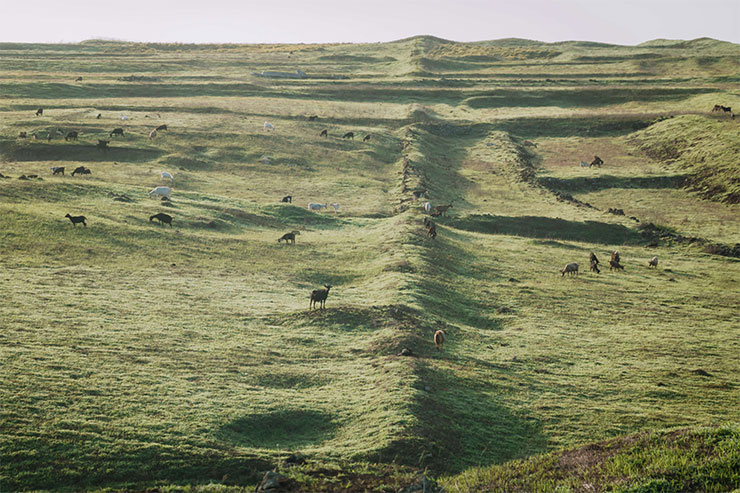 探尋在地風光!Sony 攜手觀光局打造「Sony探索台灣之美」網站,參加攝影競賽再拿 Sony α7C、ZV-E10…等人氣相機! - 阿祥的網路筆記本 探尋在地風光!Sony 攜手觀光局打造「Sony探索台灣之美」網站,參加攝影競賽再拿 Sony α7C、ZV-E10…等人氣相機! - 阿祥的網路筆記本