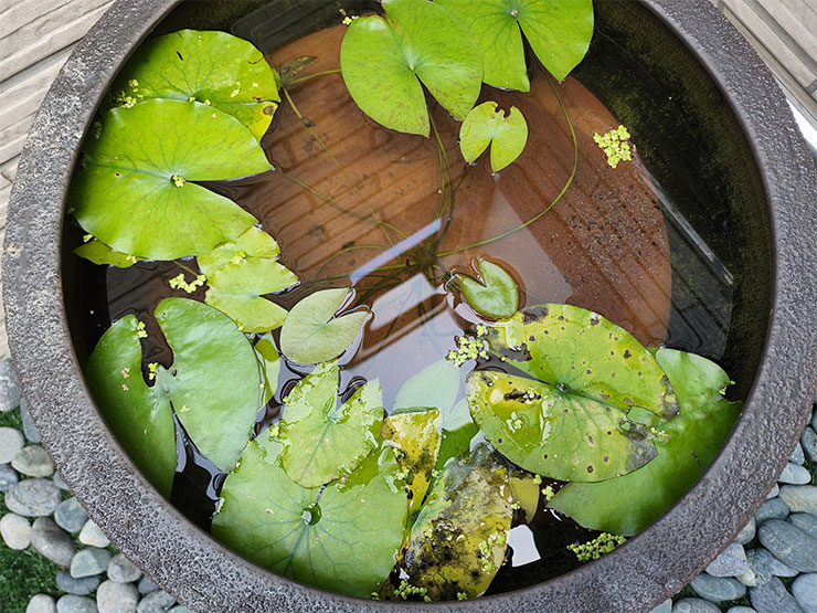 三星 Galaxy S22 Ultra 玩轉夜視界！AI 加持攝錄都強悍，標配 S Pen 再現「筆較厲害」極致體驗！ - 阿祥的網路筆記本