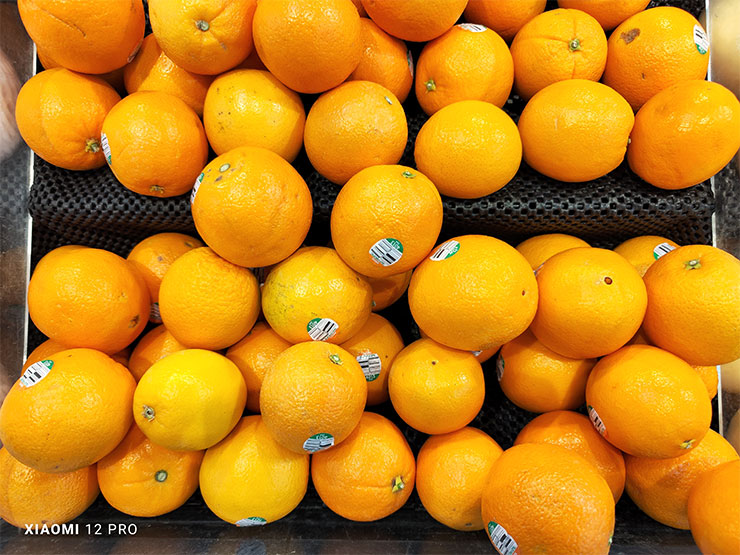 Xiaomi 12 Pro 的實拍照片