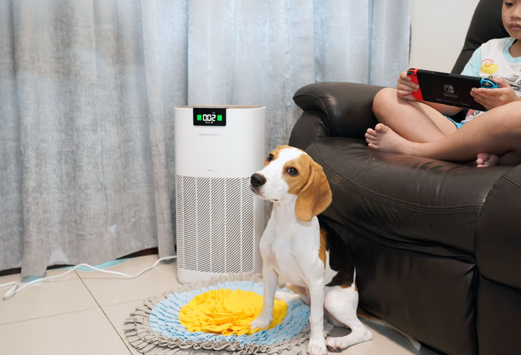 除了保護家人的呼吸健康，有養毛小孩的朋友也很適合使用 OSIM 智能空氣清淨機 2 來去除掉寵物的異味。
