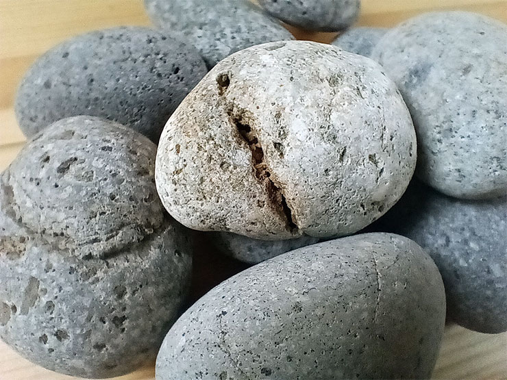 Galaxy A14 5G 實際拍攝的微距照片