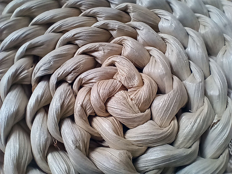 Galaxy A14 5G 實際拍攝的微距照片