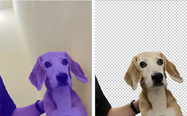 完全免費!PicWish 讓你一個步驟完成圖片去背!人像、物品、動物…等通通搞定! - 阿祥的網路筆記本 透過筆工具手動加入保留範圍,右側的去背影像也會即時秀出結果預覽