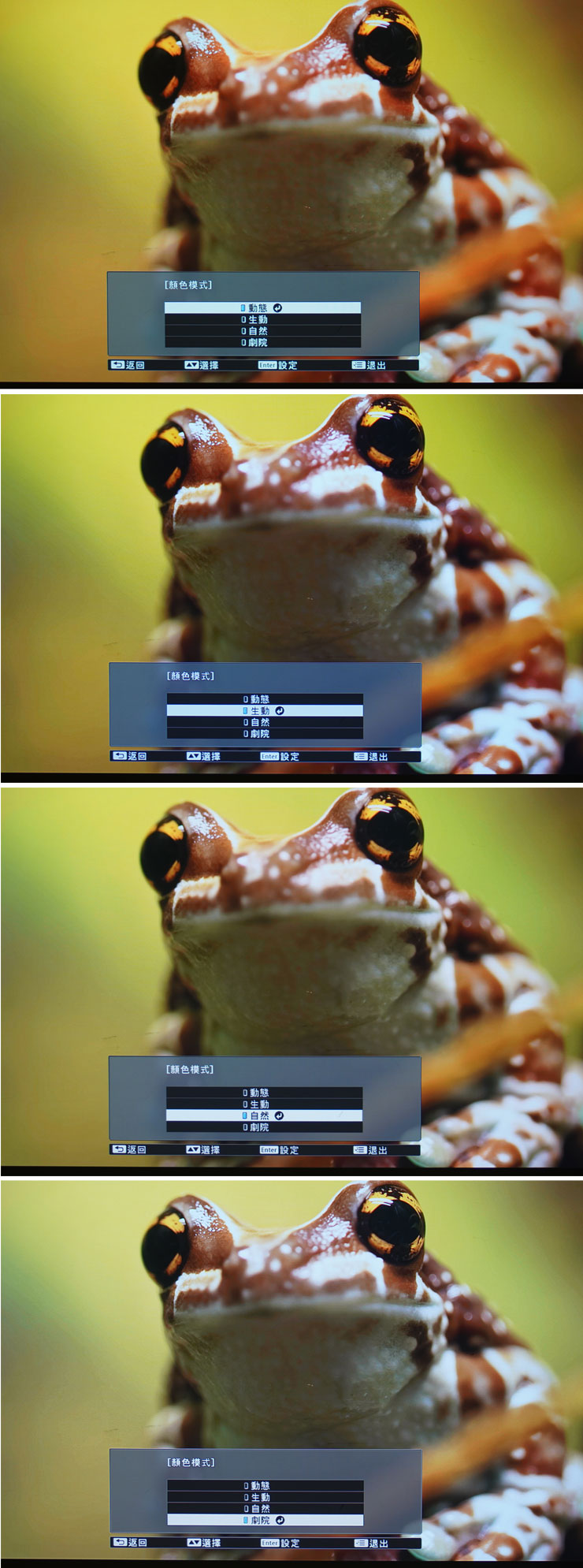 影像的顏色模式提供動態、生動、自然、劇院四種模式，由上而下可看出呈現上的差異表現。