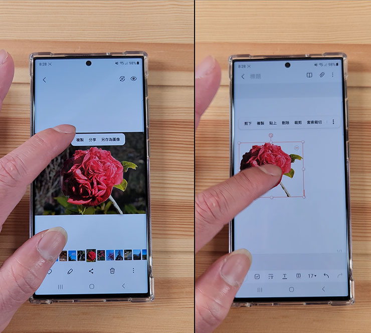 不是人像的物件，像是花朵也能去背。
