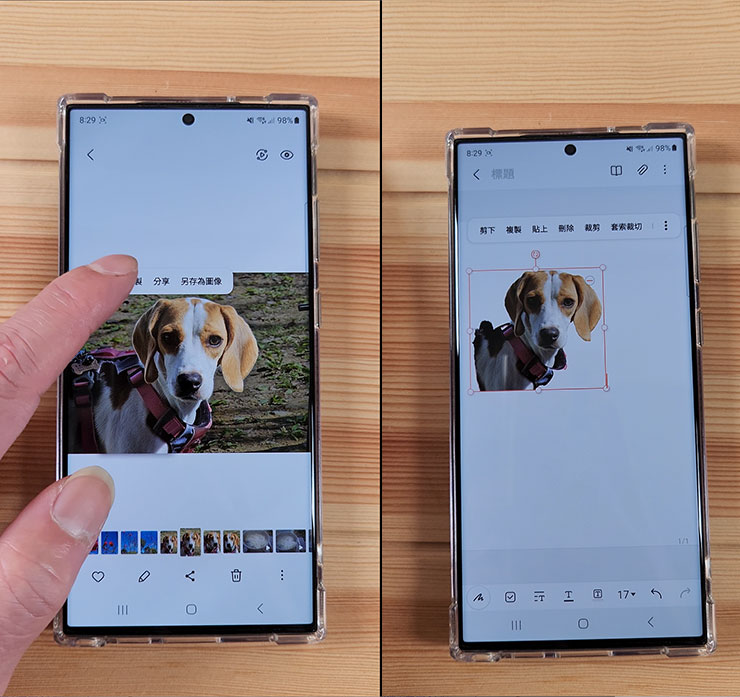 可愛的小狗狗也能去背哦，效果還蠻不錯的！
