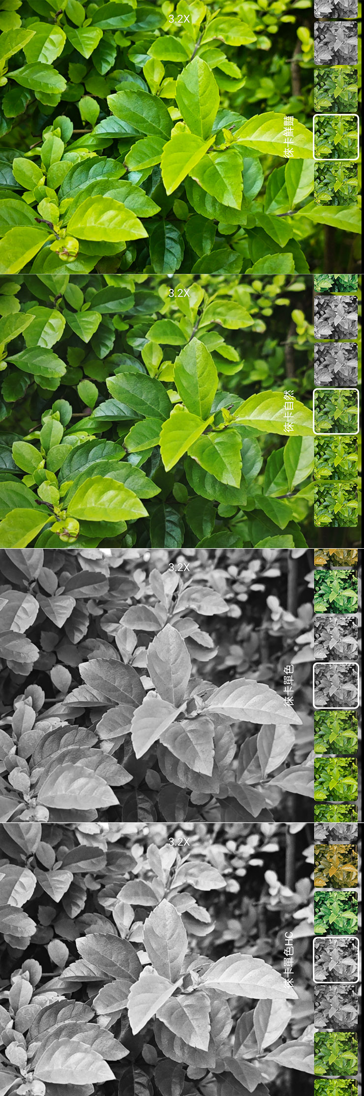 圖上至下分別為徠卡鮮艷、徠卡自然、徠卡單色與徠卡單色 HC。