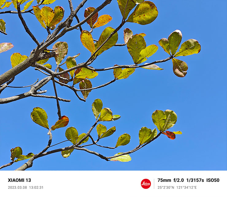 Xiaomi 13 相機拍攝樣張