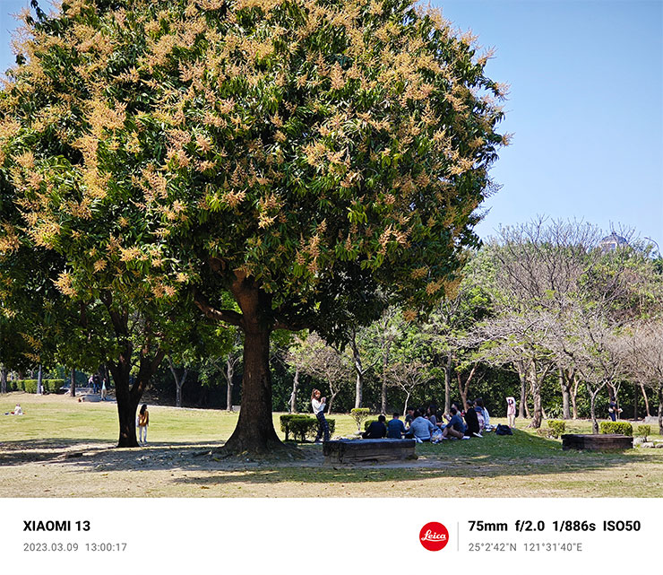 Xiaomi 13 相機拍攝樣張