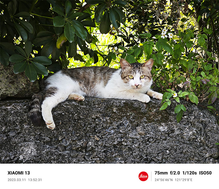 Xiaomi 13 相機拍攝樣張