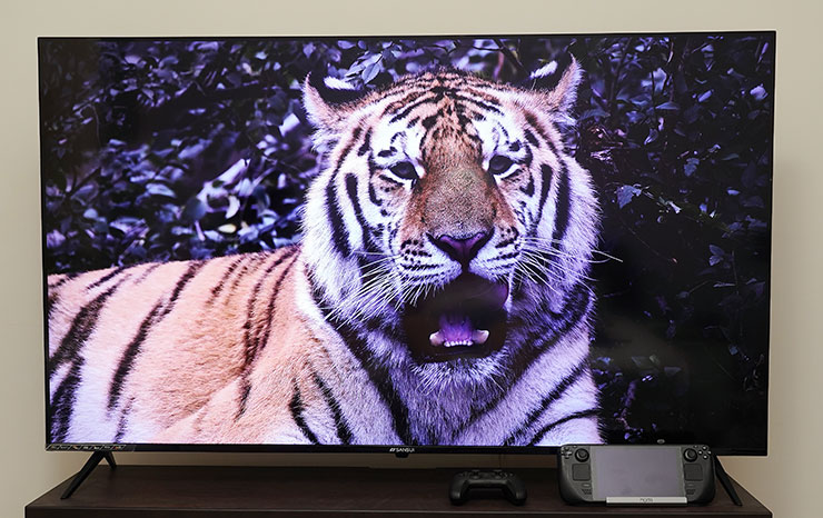 山水 4K QLED 量子智慧聯網電視開箱實測:QLED 顯色、4K HDR 與 Google 認證 Android TV 系統一次滿足!價格平易近人超驚喜! - 阿祥的網路筆記本 另外像是動物的毛髮呈現也是根根分明,毛皮花色的對比度也相當出色。