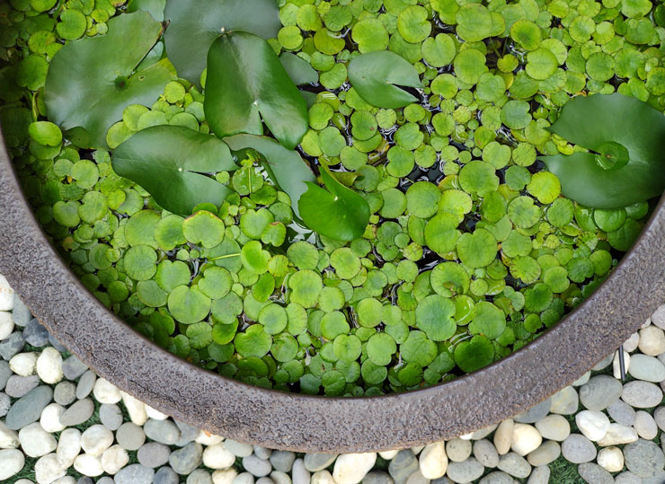 SHARP AQUOS sense7 plus 開箱體驗:日系質感、手感輕薄、優異螢幕與大容量電池兼備,相機表現可圈可點! - 阿祥的網路筆記本 SHARP AQUOS sense7 plus 開箱體驗:日系質感、手感輕薄、優異螢幕與大容量電池兼備,相機表現可圈可點! - 阿祥的網路筆記本