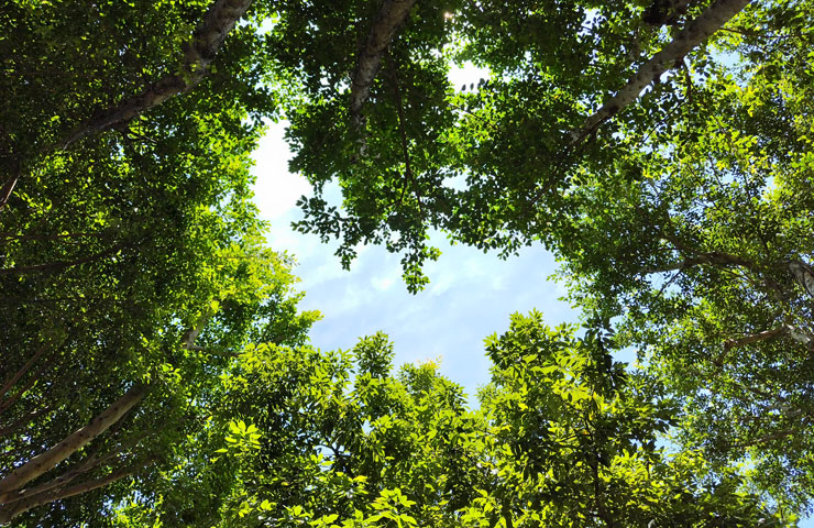 SHARP AQUOS sense7 plus 開箱體驗:日系質感、手感輕薄、優異螢幕與大容量電池兼備,相機表現可圈可點! - 阿祥的網路筆記本 SHARP AQUOS sense7 plus 開箱體驗:日系質感、手感輕薄、優異螢幕與大容量電池兼備,相機表現可圈可點! - 阿祥的網路筆記本