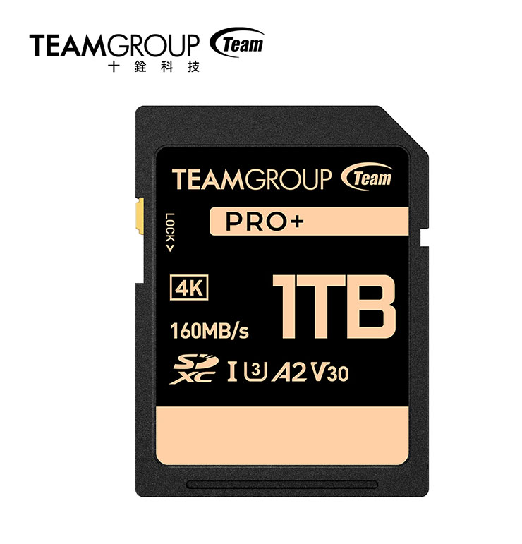 TEAMGROUP PRO+ SDXC