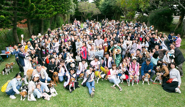 Petstro 沛德奧寵物推車開箱分享:309P 經典紐約系列 - 雙色千鳥,三輪設計更靈活,收摺簡單易攜帶! - 阿祥的網路筆記本 今年「百人百米」活動的大合照,這活動規模真的很驚人!也感謝主辦單位與志工們的付出,讓一大群熱愛米格魯的朋友可以聚在一起!