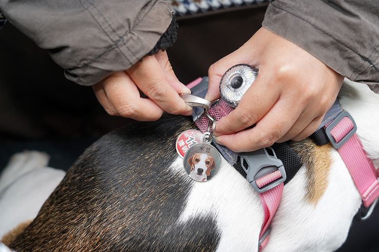 Petstro 沛德奧寵物推車開箱分享:309P 經典紐約系列 - 雙色千鳥,三輪設計更靈活,收摺簡單易攜帶! - 阿祥的網路筆記本 狗狗上車後,可將扣繩固定至胸背帶或是項圈上更安全!