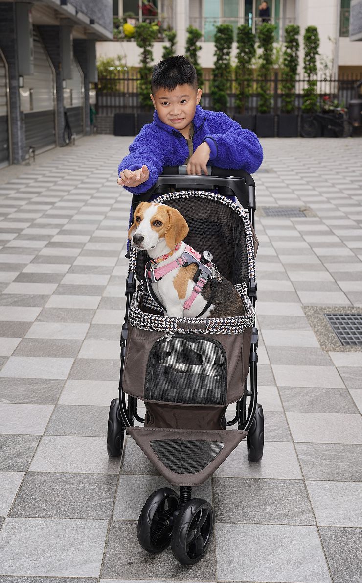 Petstro 沛德奧寵物推車開箱分享:309P 經典紐約系列 - 雙色千鳥,三輪設計更靈活,收摺簡單易攜帶! - 阿祥的網路筆記本 車內空間符合中型犬體型,頂棚展開時視野很不錯!