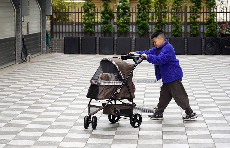 Petstro 沛德奧寵物推車開箱分享:309P 經典紐約系列 - 雙色千鳥,三輪設計更靈活,收摺簡單易攜帶! - 阿祥的網路筆記本 實心輪搭配減震設計讓推車推起來很滑順穩定,三輪設計操控也很靈活,看哥哥推得多開心!