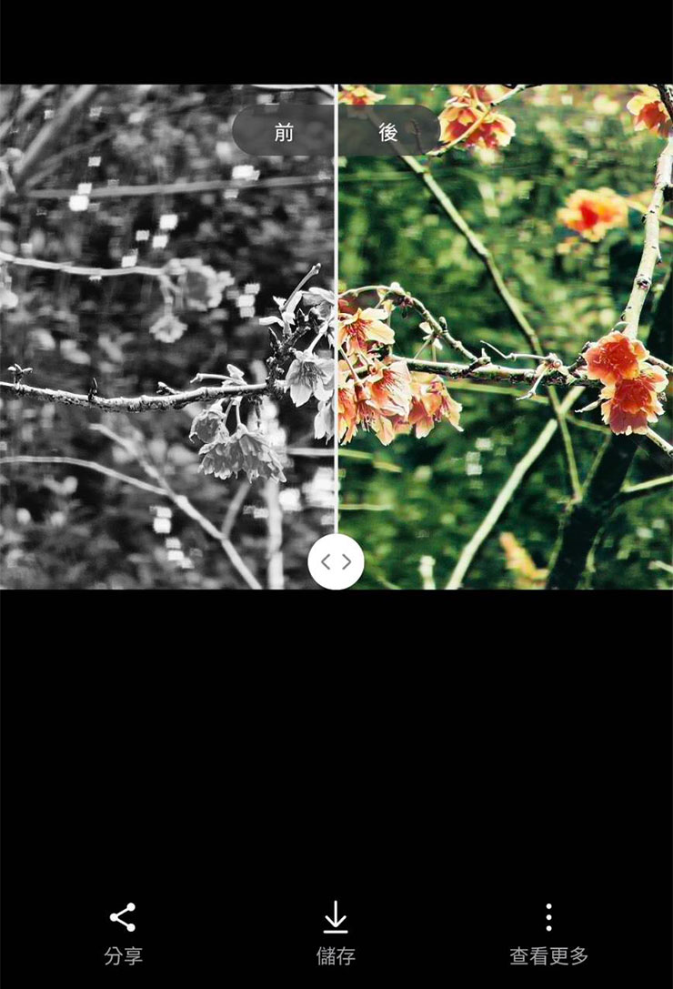 三星 Galaxy S24 系列隱藏 AI 功能實測:黑白照片自動填色功能…這功能感覺有點微妙? - 阿祥的網路筆記本 運算完成,會出現上色前(左)後(右)的對比,下方可選擇「儲存」或選「查看更多」來另存複本