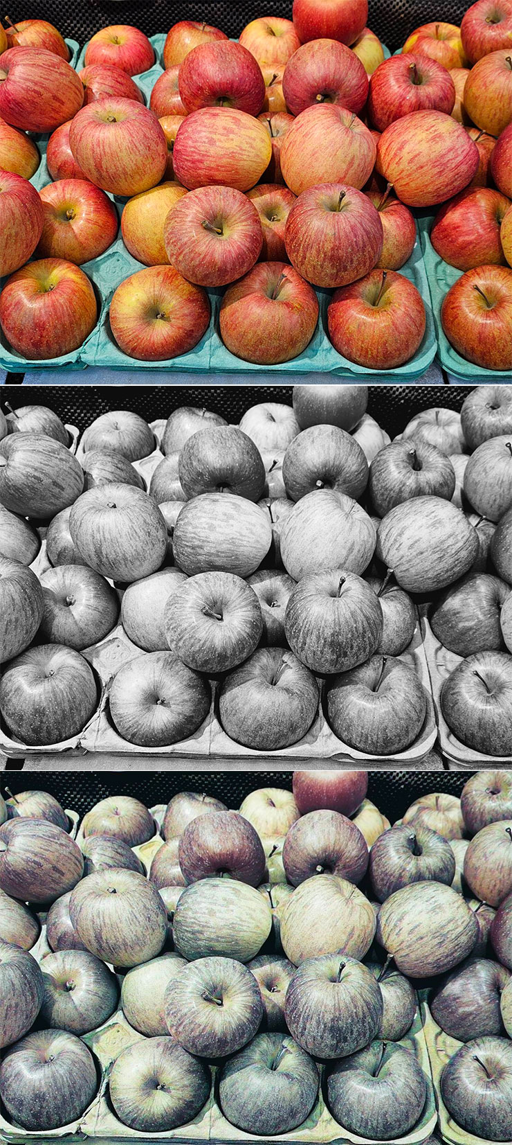 三星 Galaxy S24 系列隱藏 AI 功能實測:黑白照片自動填色功能…這功能感覺有點微妙? - 阿祥的網路筆記本 來比較一下影像原圖(上)、黑白化(中)與 AI 上色結果(下)的差異,這一組是蘋果,可以發現 AI 幾乎是無法還原出紅色調