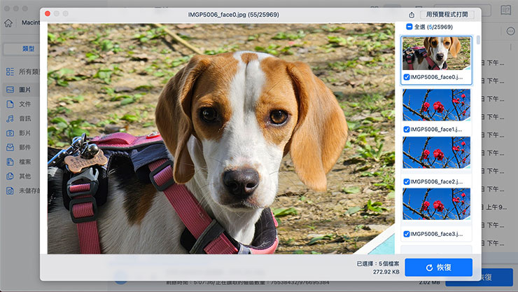 Mac 資料誤刪、硬碟格式化有救嗎?EaseUS Data Recovery Wizard for Mac 輕鬆找回你的重要檔案! - 阿祥的網路筆記本 清單中找到的檔案可以點選進行預覽,像是照片、影片就能直接查看,我們同時也可以將確認想要恢復的檔案勾選起來,並點選右下角「恢復」進行還原。