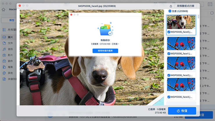 Mac 資料誤刪、硬碟格式化有救嗎?EaseUS Data Recovery Wizard for Mac 輕鬆找回你的重要檔案! - 阿祥的網路筆記本 儲存完成會跳出對話框,可點選檢視檔案。