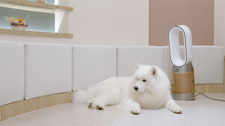 因甲醛分子較多沈積於離地近 1 公尺處，貓狗等寵物較容易暴露在甲醛的環境， Dyson空氣清淨機內建固態甲醛感應器，可完全消滅有毒甲醛分子。