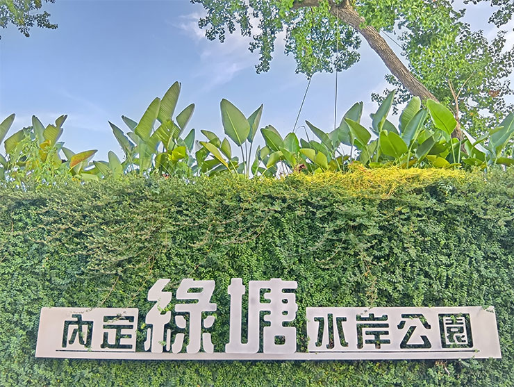 SHARP AQUOS Wish4 開箱實測:日系簡約美型、功能完整,堅固耐用無可挑剔! - 阿祥的網路筆記本 SHARP AQUOS Wish4 相機實拍樣張