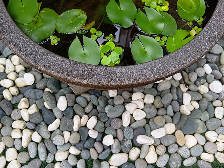 SHARP AQUOS Wish4 開箱實測:日系簡約美型、功能完整,堅固耐用無可挑剔! - 阿祥的網路筆記本 SHARP AQUOS Wish4 相機實拍樣張