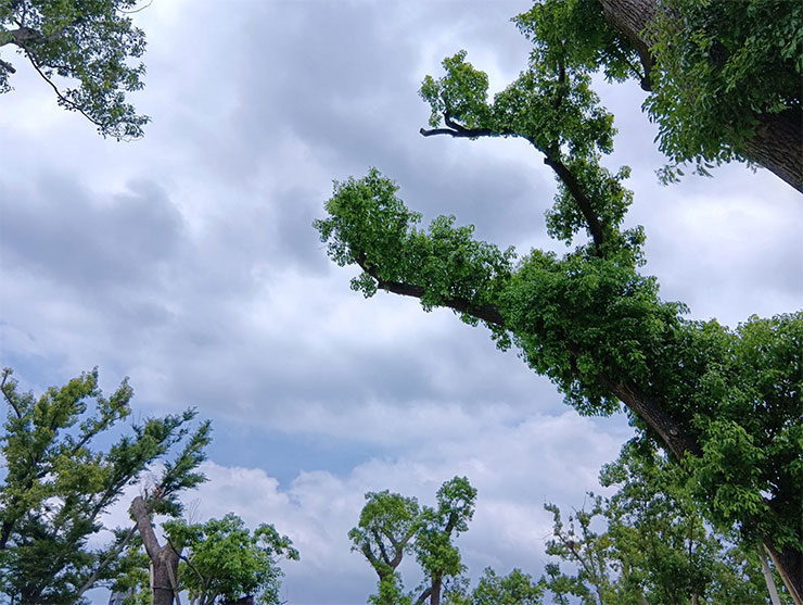 SHARP AQUOS Wish4 開箱實測:日系簡約美型、功能完整,堅固耐用無可挑剔! - 阿祥的網路筆記本 SHARP AQUOS Wish4 相機實拍樣張