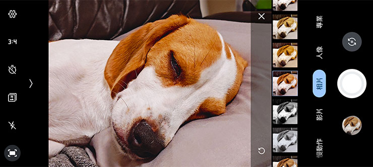 也有多種內建濾鏡可以套用。