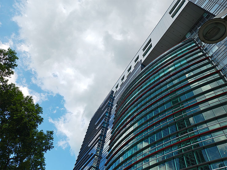 Motorola razr 50 Ultra 相機實拍樣本