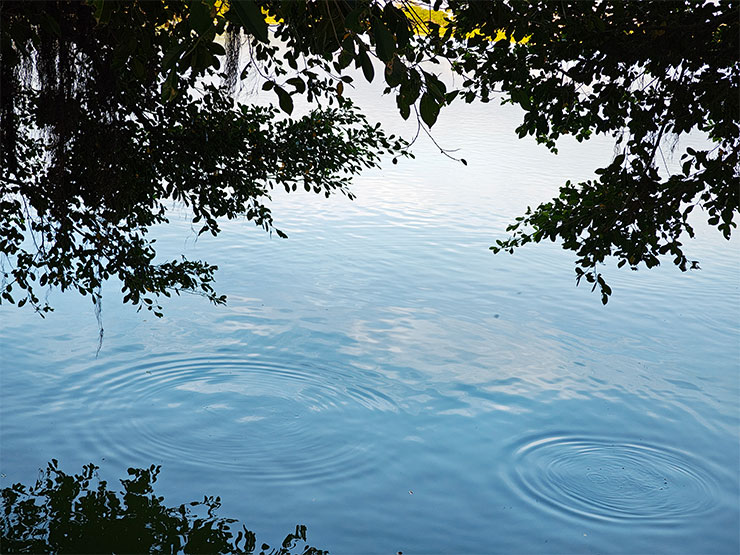 Motorola razr 50 Ultra 相機實拍樣本