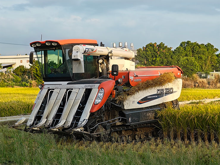 Motorola razr 50 Ultra 相機實拍樣本