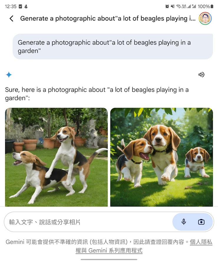 目前的 Gemini 的可以用英文指令進行圖像生成