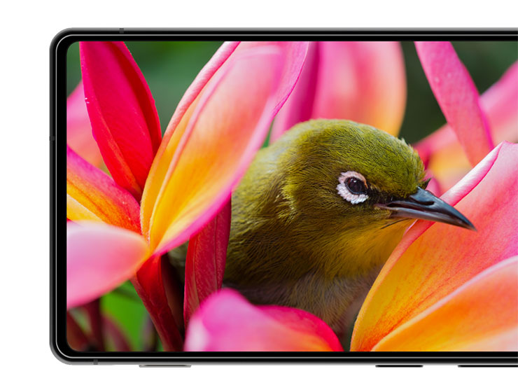 Pro IGZO OLED顯示螢幕