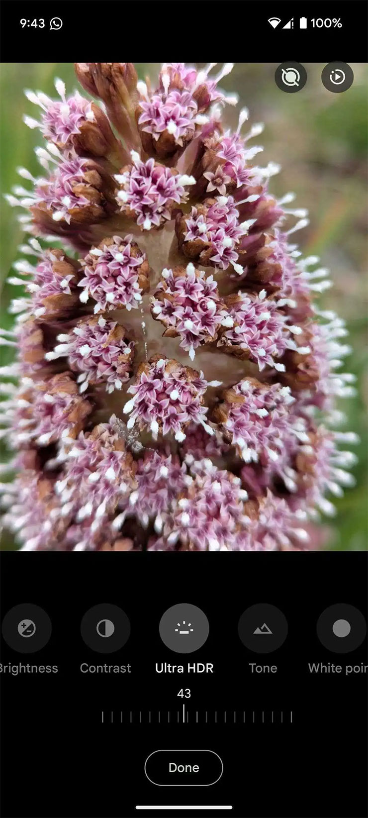 更新功能後的 Google 相簿在照片編輯中會出「Ultra HDR」的選項