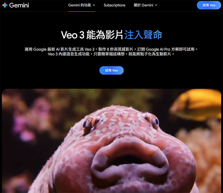 Google 的影像生成服務 Veo3 AI