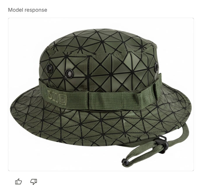 生成出來的結果也很到位，紋飾與帽子原本的縫線融合得非常完美…