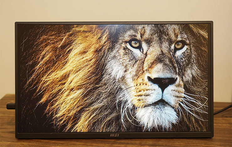 MSI PRO MP165 E6 便攜顯示器開箱實測:輕薄無負擔,輕鬆升級行動雙螢幕環境! - 阿祥的網路筆記本 畫面的對比度表現也十分出色,暗部區塊的顯示也十分深沉。