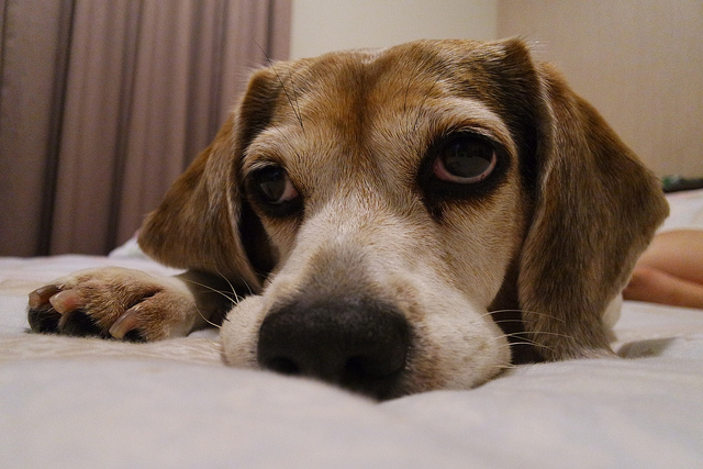 輕巧時尚．隨時連網分享－為妳量身打造的羽量級單眼「Samsung NX Mini」開箱與功能評測！ - 阿祥的網路筆記本